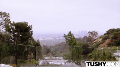 Soumis secrétaire puni et sodomised